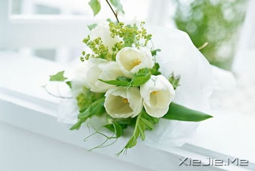 30������֮������֮�� (4)