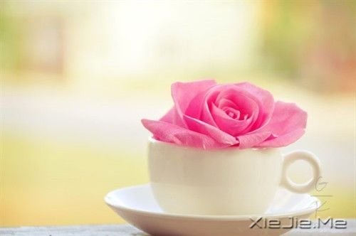 �������غ� (3)