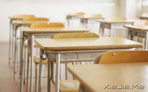 ���ǰ�Ҳ����������